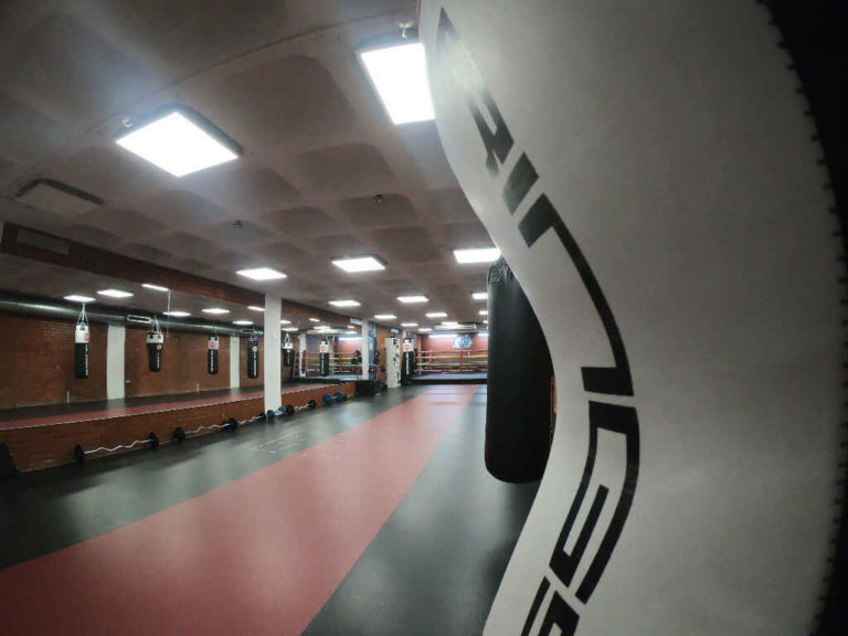 Gallery image